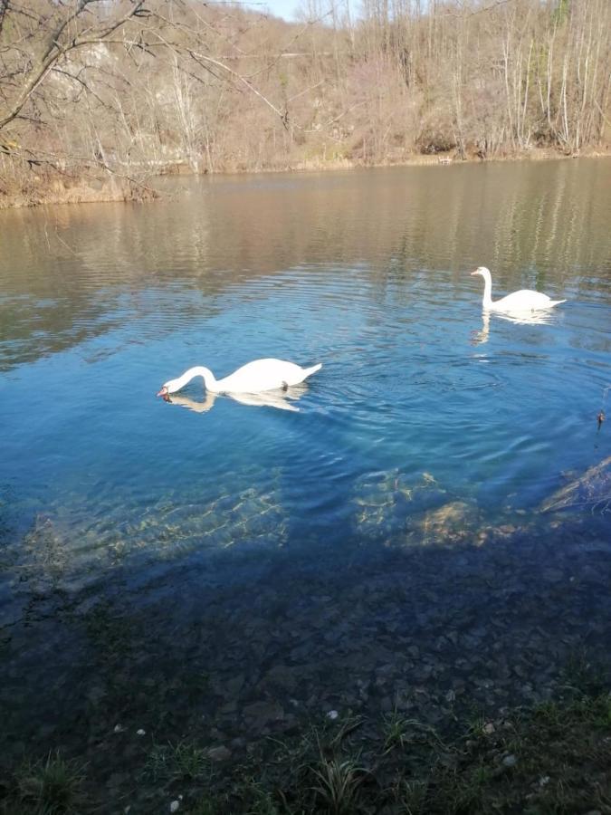 Kuca Za Odmor Braco Apartamento Donji Zvecaj Exterior foto